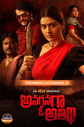 Anaganaga O Athidhi Movie Review Pakaoo