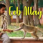 Eeb Allay Ooo Movie Review Pakaoo